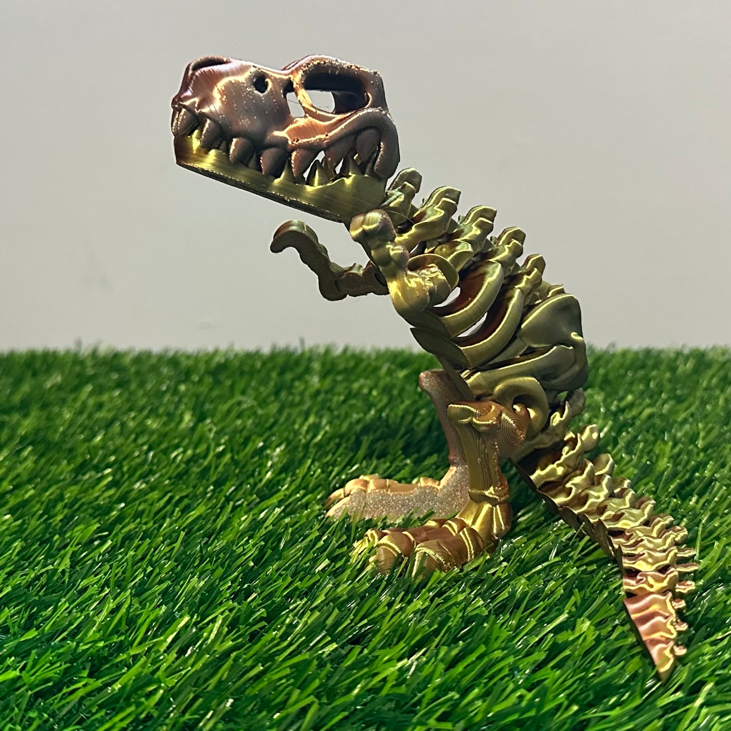 Articulated Skeleton T-Rex